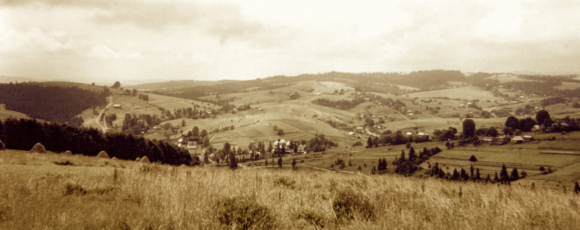 landscape sepia